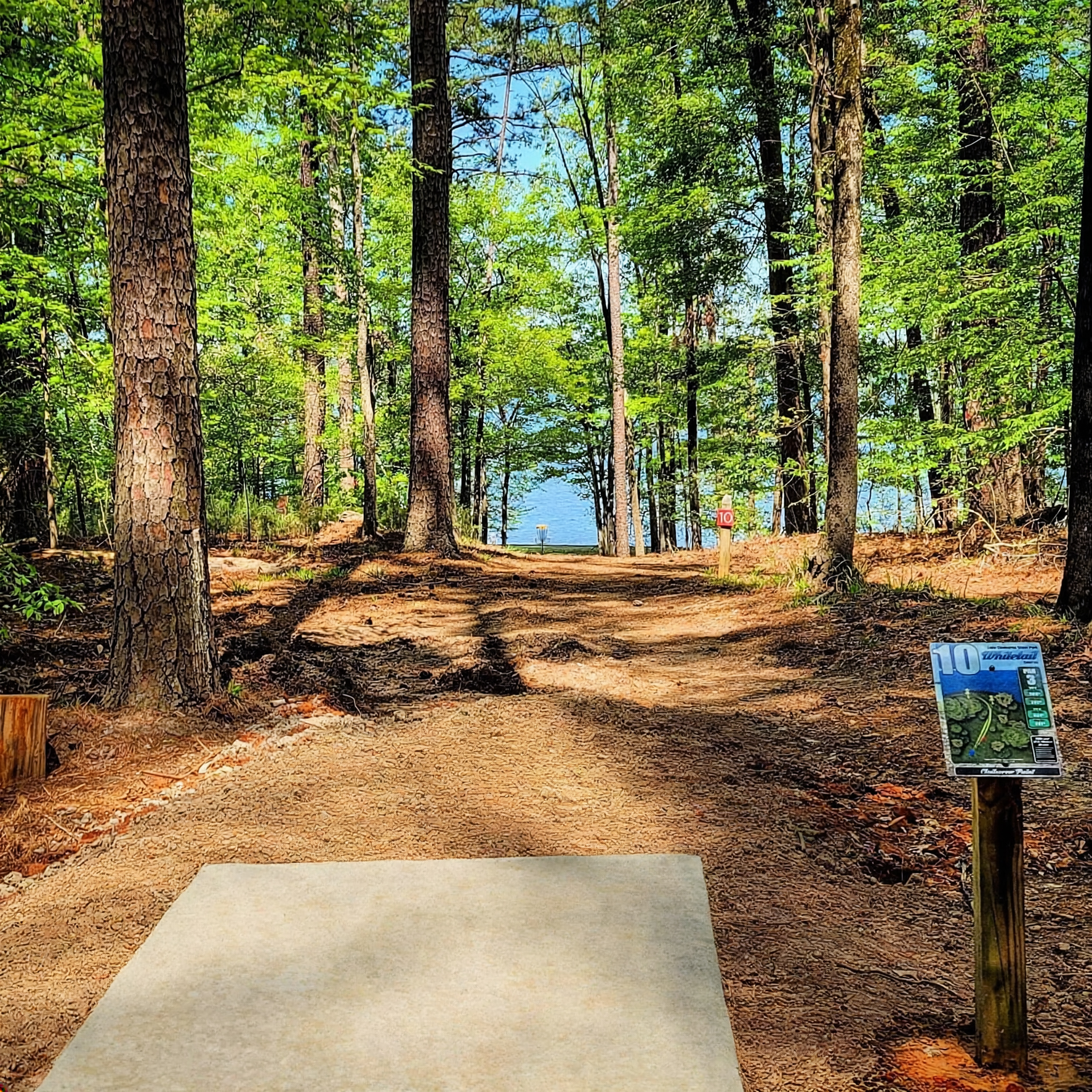 Whitetail disc golf course at Lake Claiborne State Park