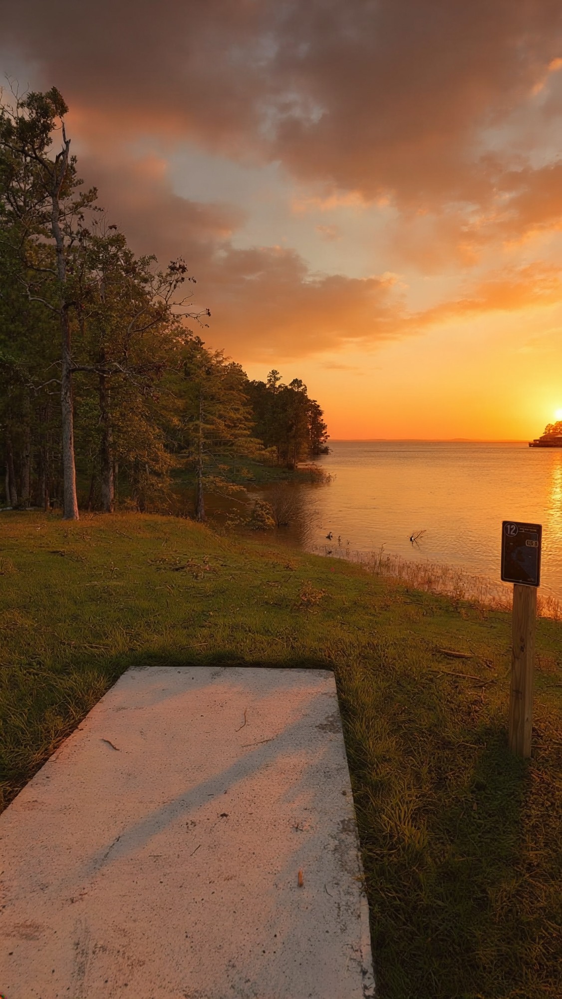 South Toledo Bend State Park disc golf course
