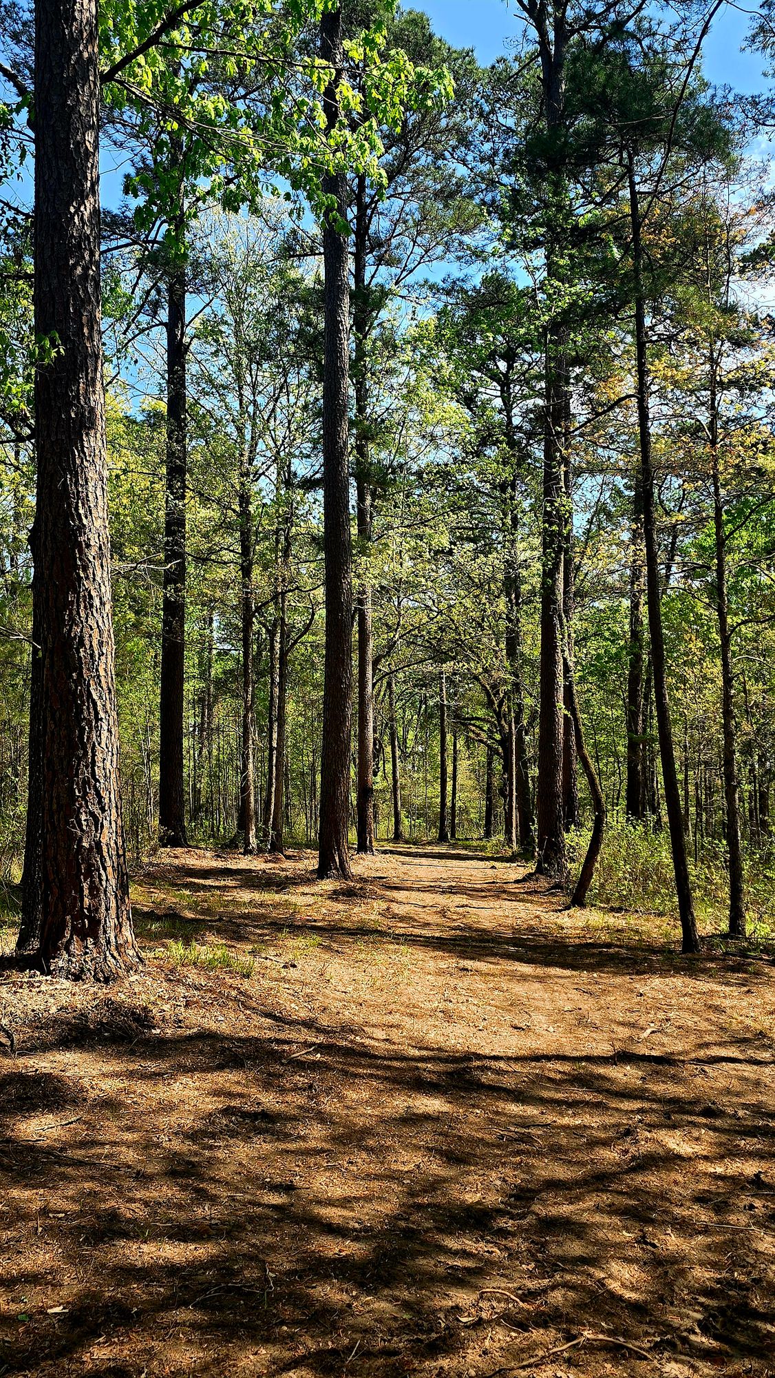Buckeye Trail disc golf course