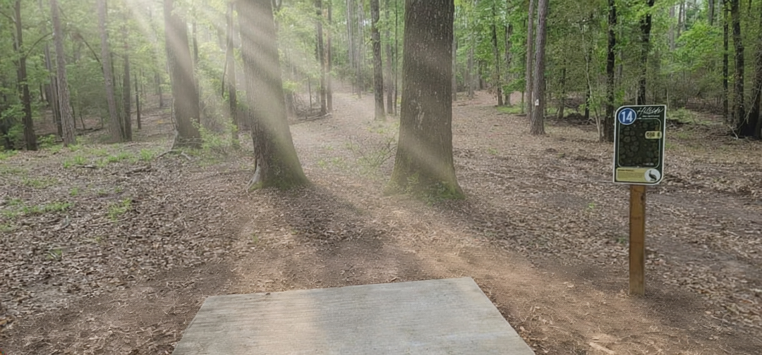 Hillside disc golf course at North Toledo Bend State Park