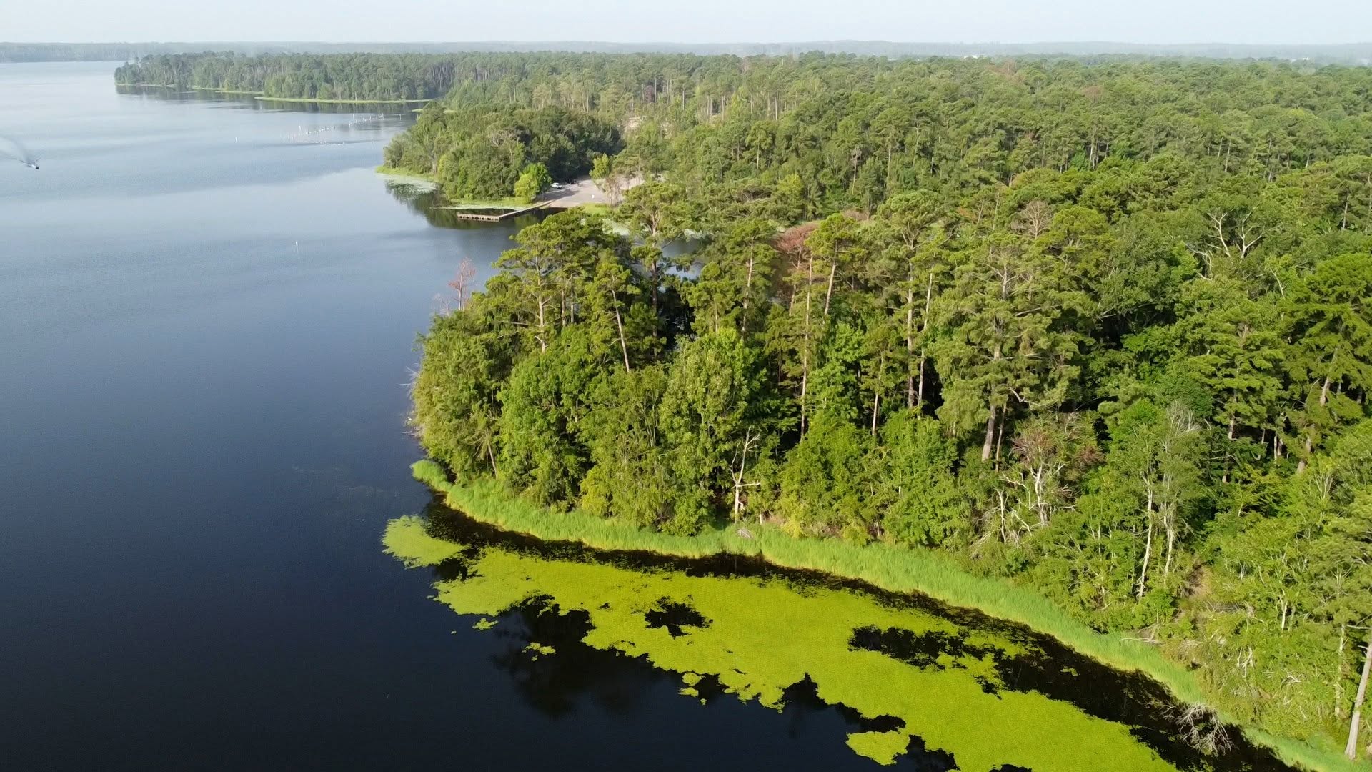 Jimmie Davis State Park disc golf course near Caney Lake