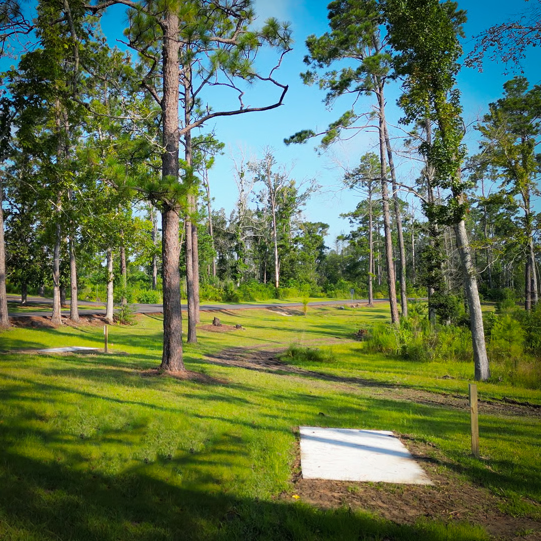 Sam Houston Jones State Park disc golf course
