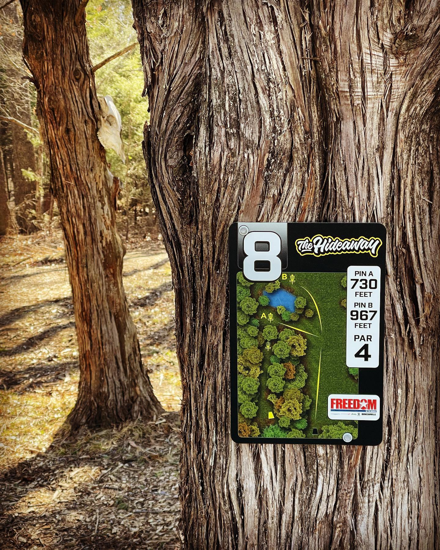 Navigating Success: The Art of Effective Disc Golf Course Signage